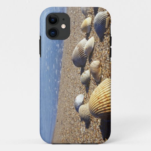 アメリカ、フロリダ、沿岸の貝殻 Case-Mate iPhoneケース (裏面)