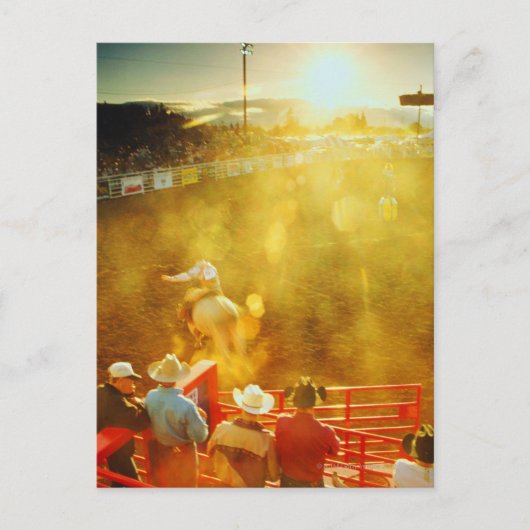 アメリカ、ブルライダーとカウボーイズの高眼差し ポストカード (正面)