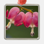 アメリカ、ペンシルバニア州。2回の出血のクローズアップ メタルオーナメント (正面)