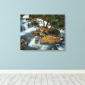 アメリカ，ペンシルバニア，リケッツグレン州パーク キャンバスプリント (インサイチュ (ウッドフロア))