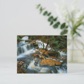 アメリカ，ペンシルバニア，リケッツグレン州パーク ポストカード (スタンド正面)