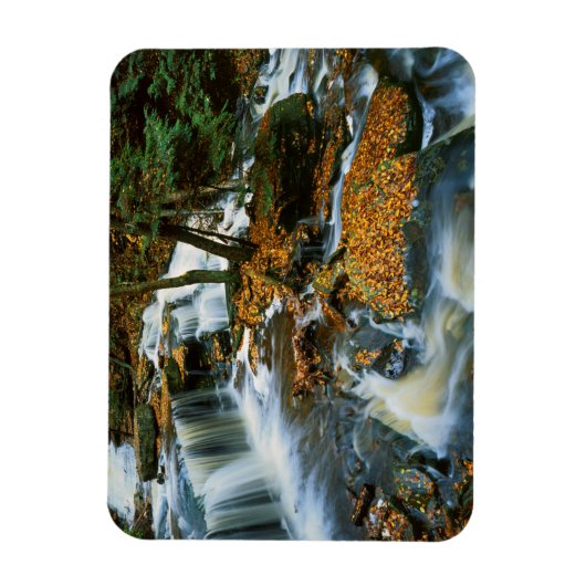 アメリカ,ペンシルバニア,リケッツグレン州パーク マグネット (縦)