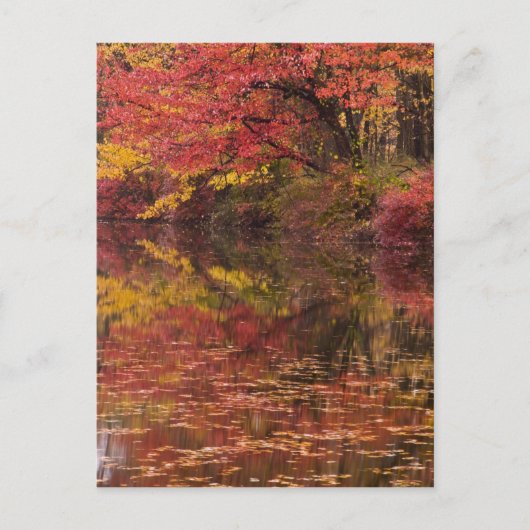 アメリカ ペンシルベニア州 デラウェア・ウォーターギャップ・ナショナル ポストカード (正面)