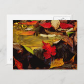 アメリカ, ペンシルベニア州, ポコノ山脈 1 ポストカード (正面/裏面)