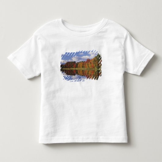 アメリカ、マサチューセッツ州、アクトン。秋の日の映り込み トドラーTシャツ (正面)