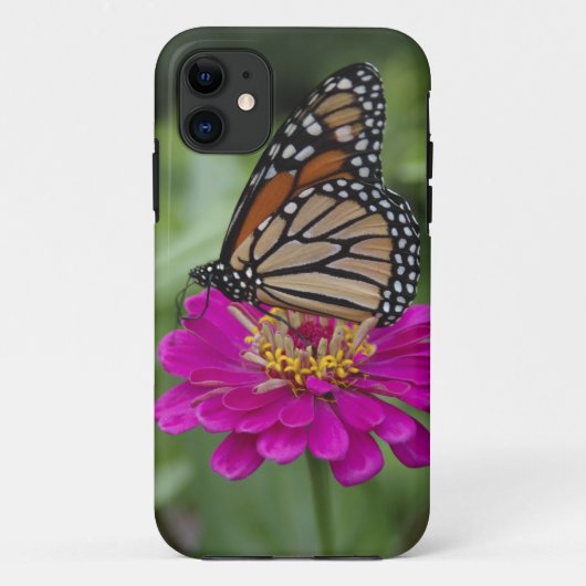 アメリカ、マサチューセッツ州、ボイルストン、タワーヒル Case-Mate iPhoneケース (裏面)