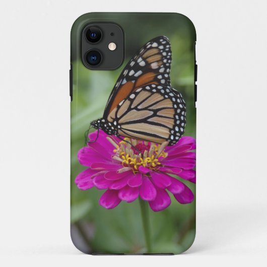 アメリカ、マサチューセッツ州、ボイルストン、タワーヒル Case-Mate iPhoneケース (裏面)