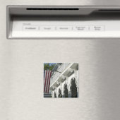 アメリカ、マサチューセッツ州、マーサのブドウ園: マグネット (インサイチュ (食洗機))