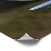 アメリカ、マサチューセッツ、グロスター。1950年代フォード ポスター (角)