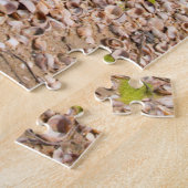 アメリカ、マサチューセッツ、ナンタケット。シェル ジグソーパズル (側面)