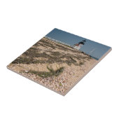 アメリカ、マサチューセッツ、ナンタケット。シェル タイル (側面)