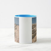 アメリカ、マサチューセッツ、ナンタケット。シェル マグカップ (中央)