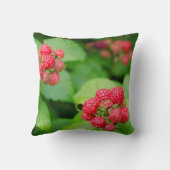 アメリカ、マサチューセッツ、ナンタケット。熟したラズベリー クッション (裏面)