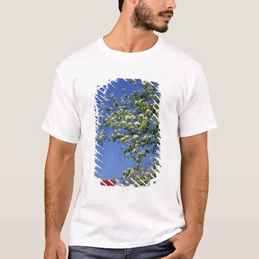 アメリカ ミシガン州 イーストタワス タワス灯台と Tシャツ (正面)