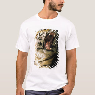 アメリカ、ミシガン州、デトロイト。デトロイト動物園、トラ2 Tシャツ