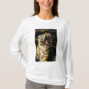 アメリカ、ミシガン州、デトロイト。デトロイト動物園、トラ Tシャツ