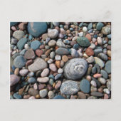 アメリカ ミシガン州 岸辺の磨かれた小石 ポストカード (正面)