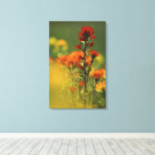 アメリカ、ミシガン、ドラモンド島、マクトン・プレーンズ、 キャンバスプリント (インサイチュ (ウッドフロア))