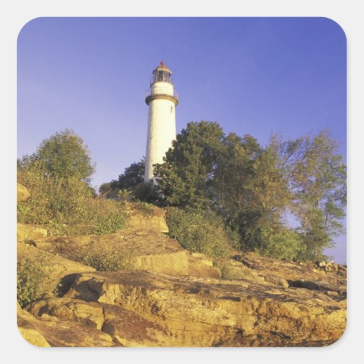 アメリカ、ミシガン、ヒューロン湖。ポアオバルク スクエアシール (正面)