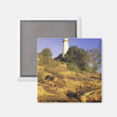 アメリカ、ミシガン、ヒューロン湖。ポアオバルク マグネット (正面/裏面)