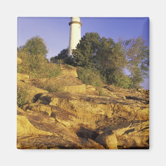 アメリカ、ミシガン、ヒューロン湖。ポアオバルク マグネット (正面)