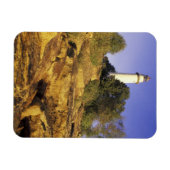 アメリカ、ミシガン、ヒューロン湖。ポアオバルク マグネット (横)