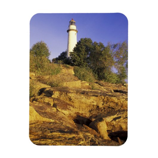 アメリカ、ミシガン、ヒューロン湖。ポアオバルク マグネット (縦)