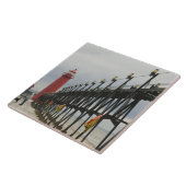 アメリカ、ミシガン、ミシガン湖ショア、グランドヘブン: タイル (側面)