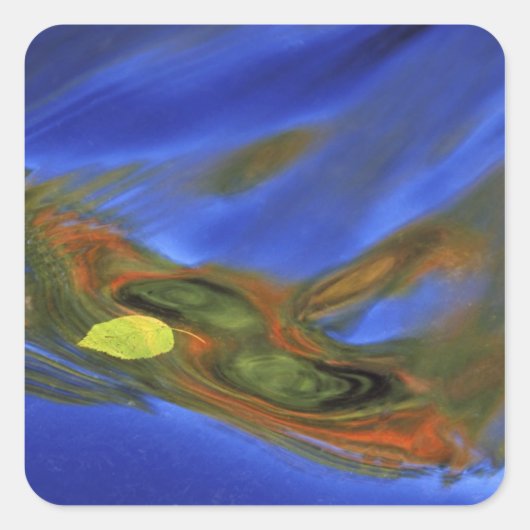 アメリカ、ミシガン、上部半島、樺の木リーフ スクエアシール (正面)