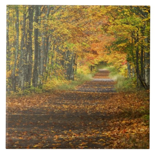 アメリカ、ミシガン、上部半島。道路の内部 タイル (正面)