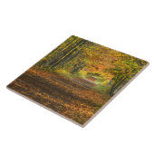 アメリカ、ミシガン、上部半島。道路の内部 タイル (側面)