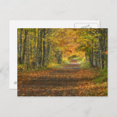 アメリカ、ミシガン、上部半島。道路の内部 ポストカード (正面/裏面)