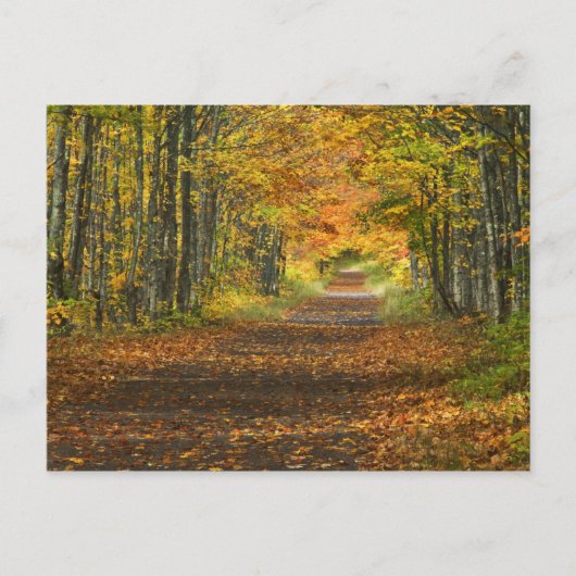 アメリカ、ミシガン、上部半島。道路の内部 ポストカード (正面)