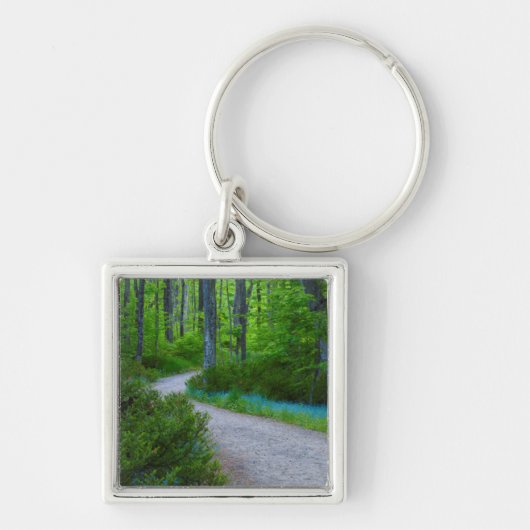 アメリカ、ミシガン。森を通る道 キーホルダー (正面)