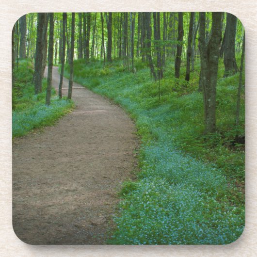 アメリカ、ミシガン。鉱夫の滝 コースター (正面)