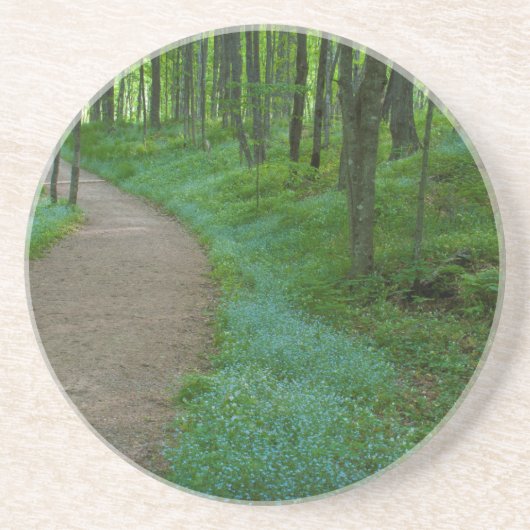 アメリカ、ミシガン。鉱夫の滝 コースター (正面)