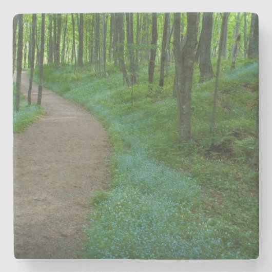 アメリカ、ミシガン。鉱夫の滝 ストーンコースター (正面)