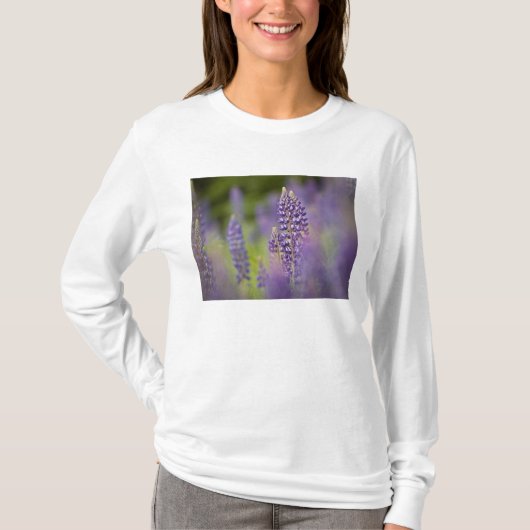 アメリカ ミネソタ州北東部 シルバーベイ近郊 Tシャツ (正面)