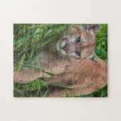 アメリカ、ミネソタ、サンドストーン、ミネソタ野生生物 ジグソーパズル (横)