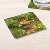 アメリカ、ミネソタ、サンドストーン、ミネソタ野生生物 スクエアペーパーコースター (アングル)