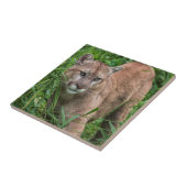 アメリカ、ミネソタ、サンドストーン、ミネソタ野生生物 タイル (側面)