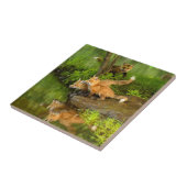 アメリカ、ミネソタ、サンドストーン、ミネソタ野生生物 タイル (側面)