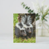 アメリカ、ミネソタ、サンドストーン、ミネソタ野生生物 ポストカード (スタンド正面)