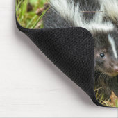 アメリカ、ミネソタ、サンドストーン、ミネソタ野生生物 マウスパッド (コーナー)