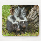 アメリカ、ミネソタ、サンドストーン、ミネソタ野生生物 マウスパッド (正面)