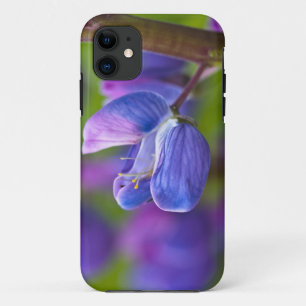 アメリカ、メイン州、アカディア国立公園。 iPhone 11 ケース