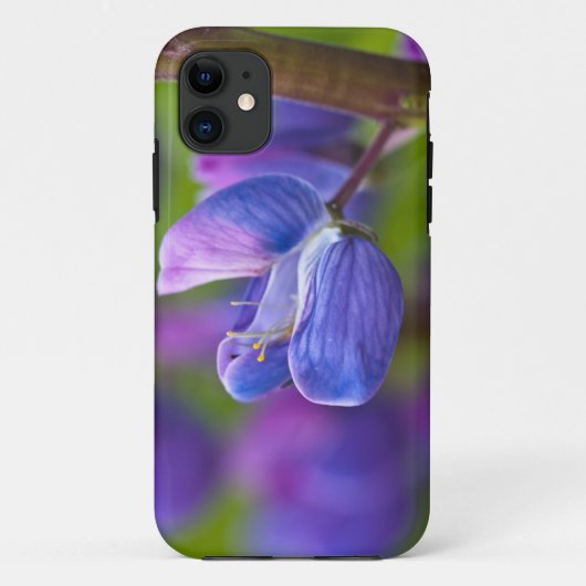 アメリカ、メイン州、アカディア国立公園。 Case-Mate iPhoneケース (裏面)