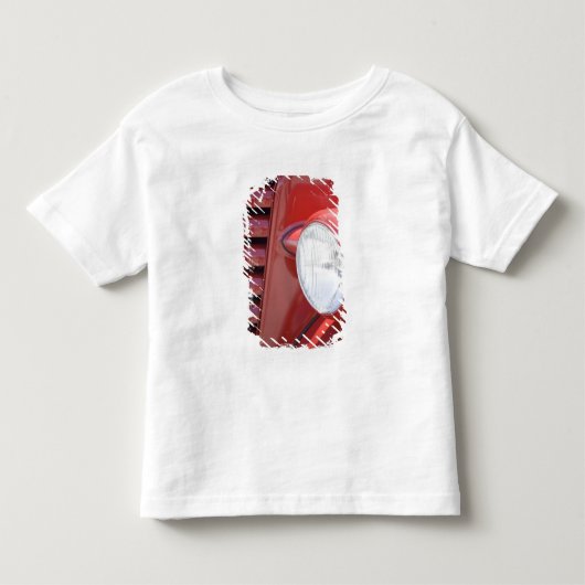 アメリカ, メイン州, オウルズヘッド トドラーTシャツ (正面)