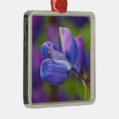 アメリカ、メイン、アカディア国立公園。クローズアップ メタルオーナメント (右)