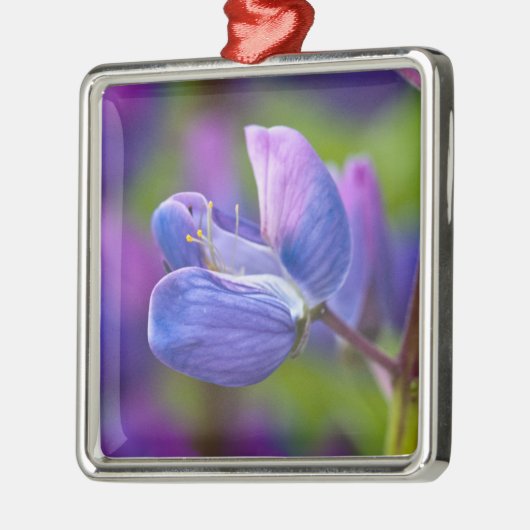 アメリカ、メイン、アカディア国立公園。クローズアップ メタルオーナメント (左)